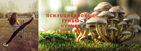 дмт Балабаново